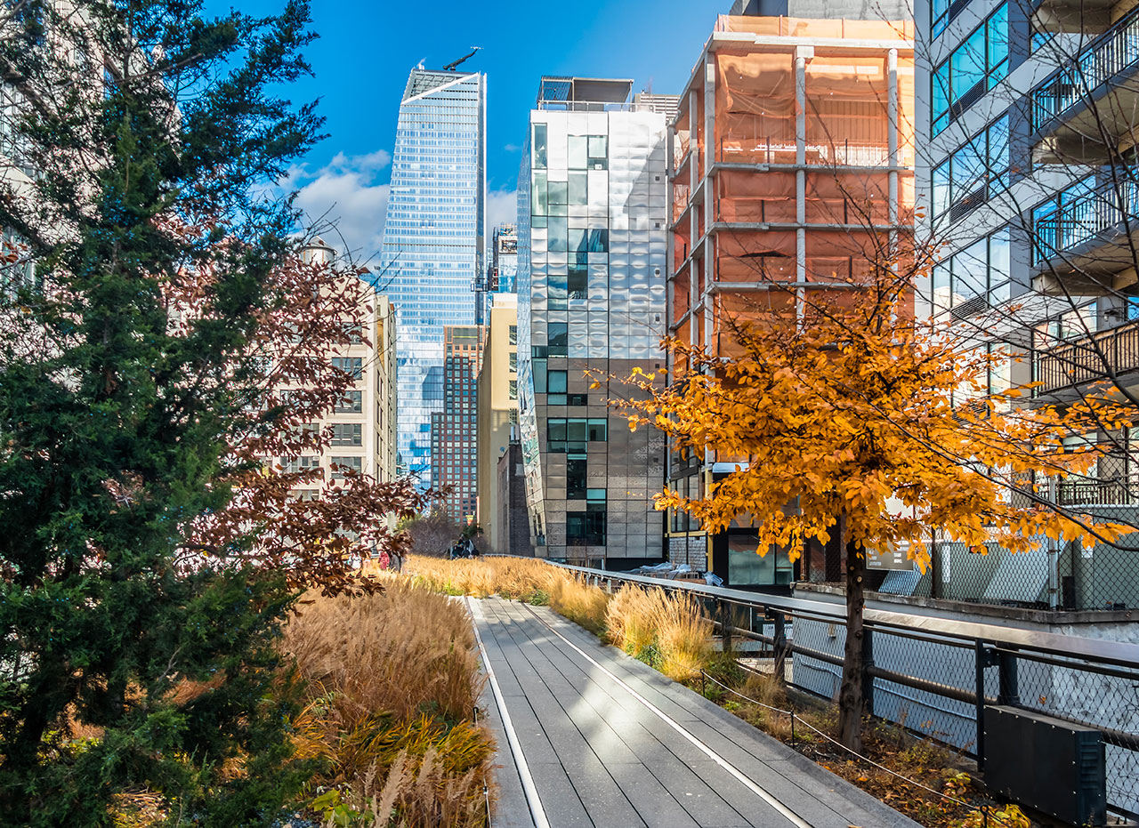 Ecoturismo e musei a New York: alla scoperta della natura e dell'ambiente urbano